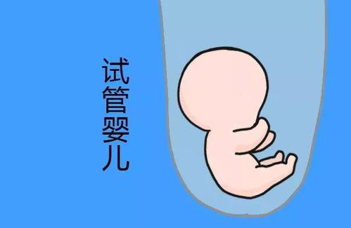 关于试管代怀包生捐卵公司